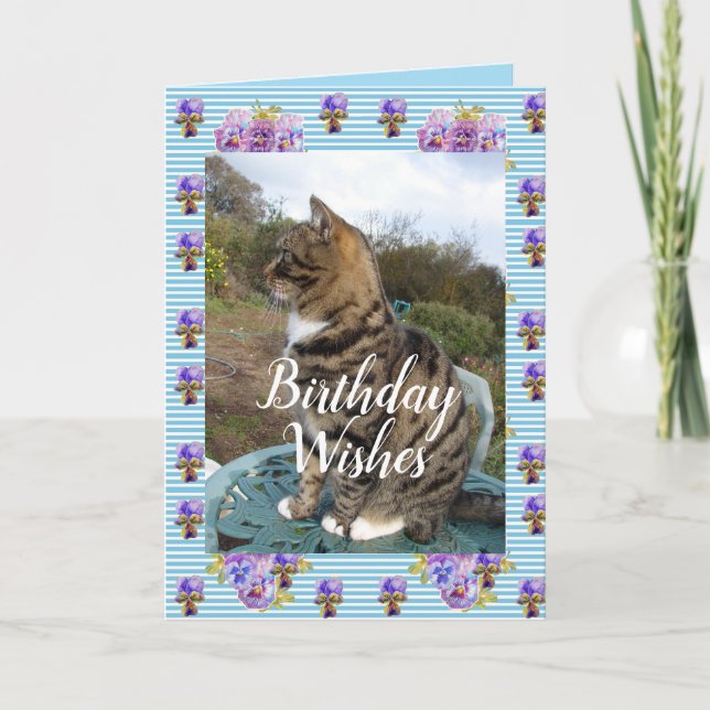 Tablette Katze Niedlich Streifen Katzen Blumenkart Karte (Vorderseite)