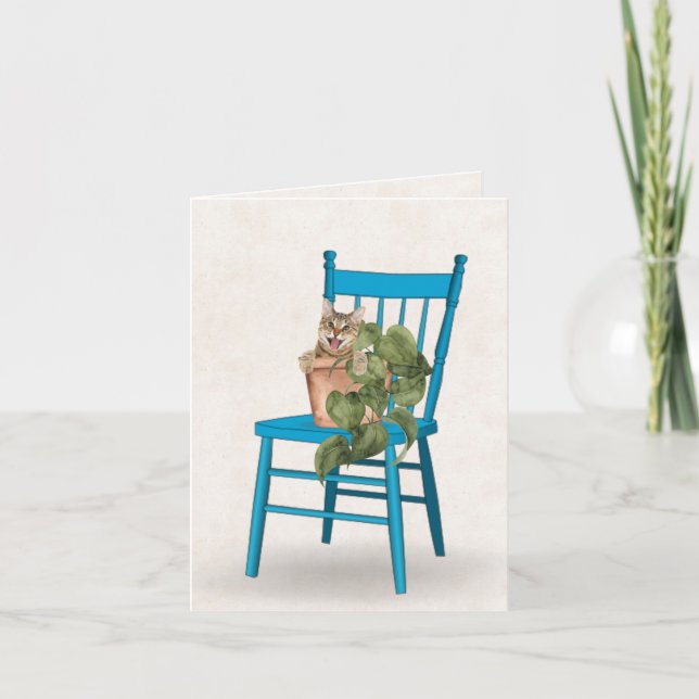 Tablettenkat in gepotteter Pflanze (Vorderseite)