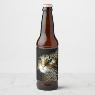 Tablettenkatze mit Abgeschiedenen grünen Augen auf Bierflaschenetikett