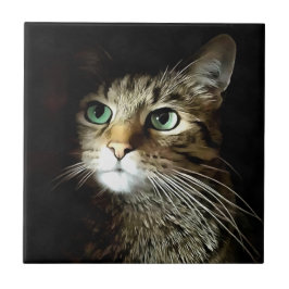 Tablettenkatze mit Abgeschiedenen grünen Augen auf Fliese