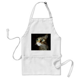 Tablettenkatze mit Abgeschiedenen grünen Augen auf Schürze