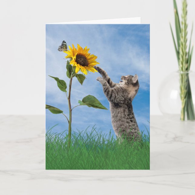 Tablettenkatze zum Geburtstag von Sonnenblumen Karte (Vorderseite)