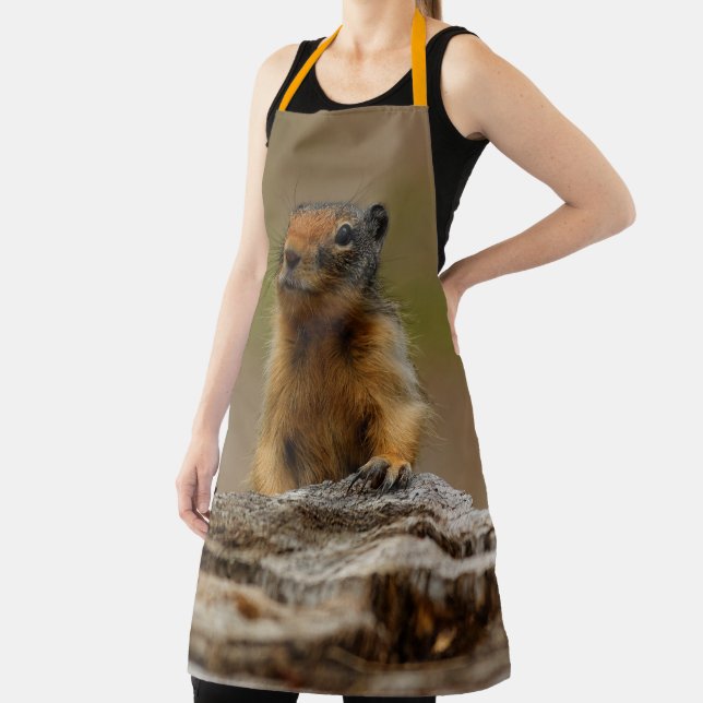 Tablier Amusant Cute Saucy Columbian Ground Squirrel (Insitu)
