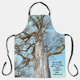 Tablier Ancien Ash Zacharie 4:6