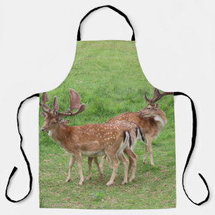 Tablier animal, cerf, faune, forêt, prairie, chasse, n