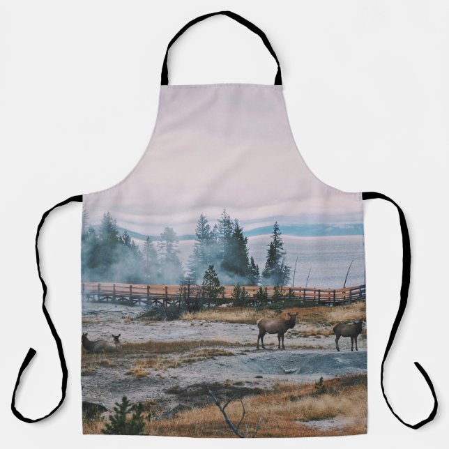 TABLIER AVANT LE COUCHER DE SOLEIL DANS LE PARC NATIONAL D (Recto)