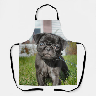 Tablier B ; chiot en Carlin rack