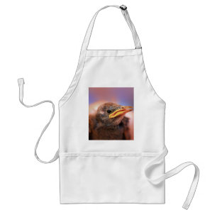 Tablier Baby Bird