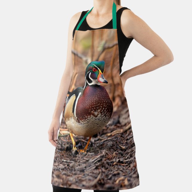 Tablier Beau canard à bois mâle dans les bois (Insitu)