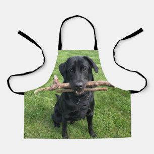 Tablier Black Lab avec deux bâtons Photo de chien