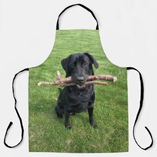 Tablier Black Lab avec deux bâtons Photo de chien