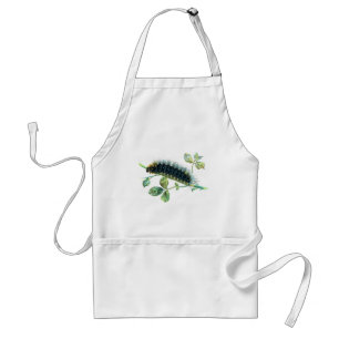 Tablier Caterpillar Arctia caja