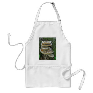 Tablier Champignons de plateau sur souche