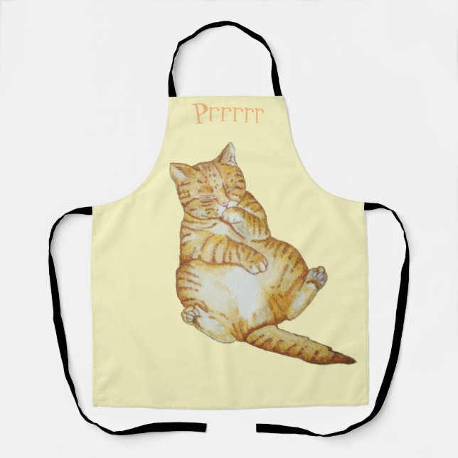Tablier chatte à gingembre en sommeil mignon (Recto)