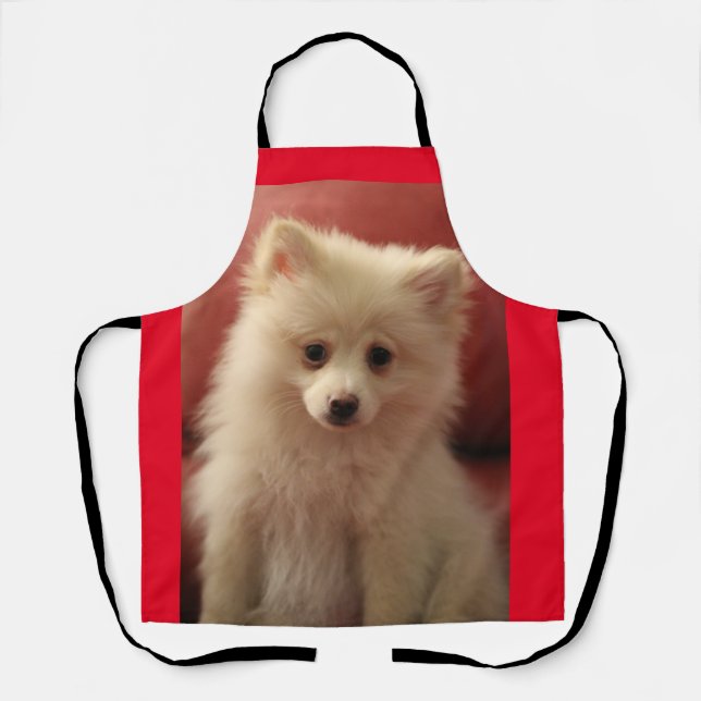 Tablier Chien de Poméranie mignon (Recto)