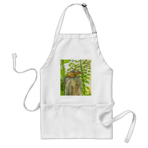 Tablier Chipmunk sur un poteau de clôture