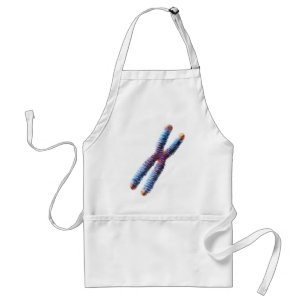 Tablier chromosome