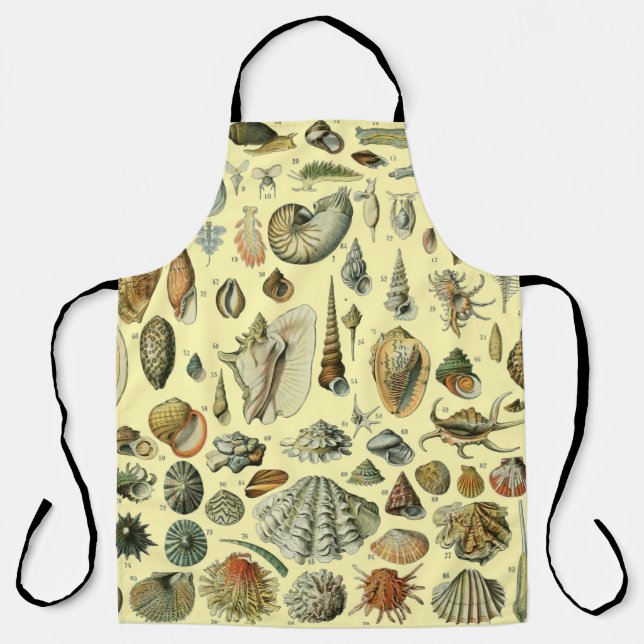 Tablier Coquillages de coquillages Mollusk Clam Élégant Ar (Recto)