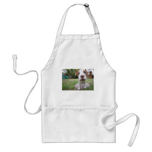 Tablier Curieux Chiot