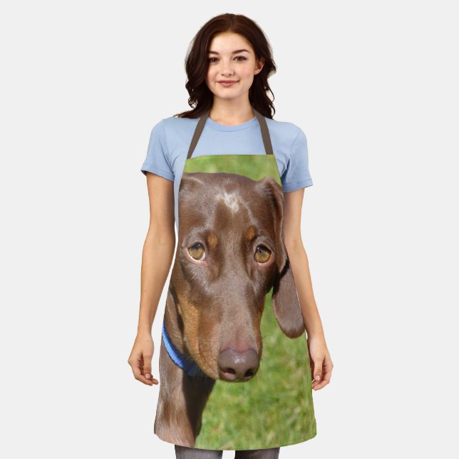 Tablier Dachshund (Porté)