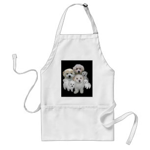 Tablier de chiots de Bichon Frise