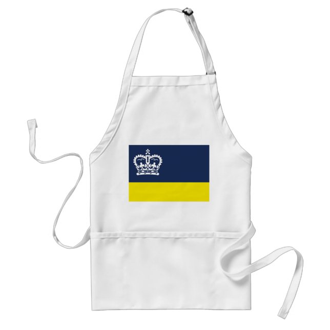 Tablier Drapeau de Regina (Saskatchewan) Adulte Apron (Devant)