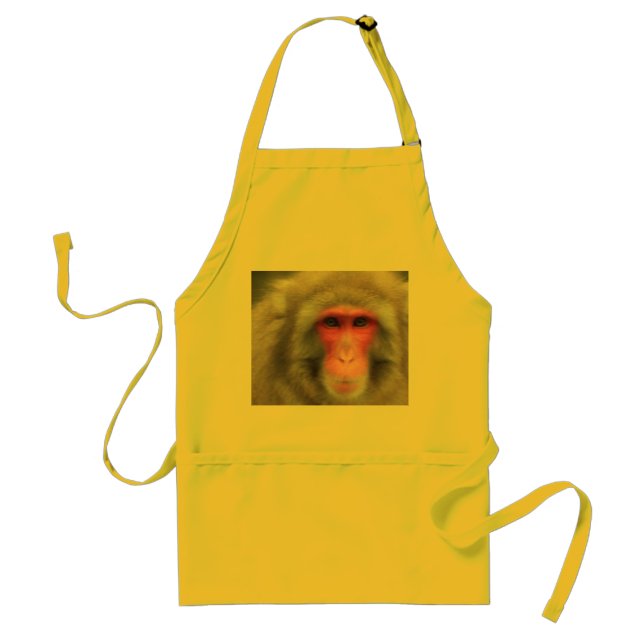 TABLIER EMBRASSEZ CE CUISINIER (Devant)