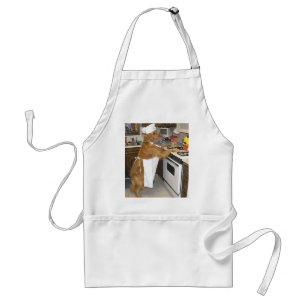 Tablier Embrassez ce cuisinier