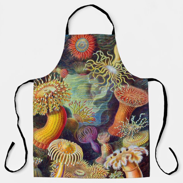 Tablier Ernst Haeckel Sea Anemones Marine : Actiniae (Recto)