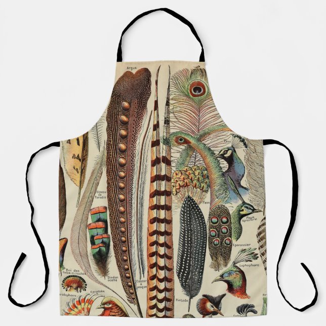 Tablier Feather Bird Wildlife Plumes d'antiquités (Recto)