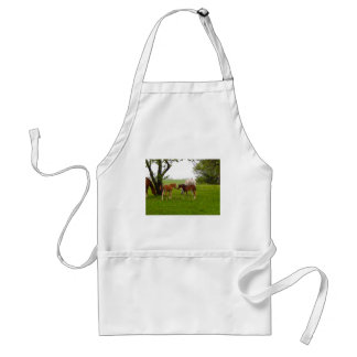 TABLIER FOUS DE CHEVAL CUTE