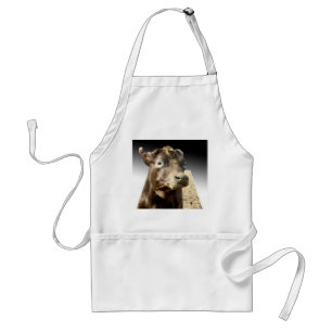 Tablier Grosse Vache Brown Munissant Sur Le Foin,
