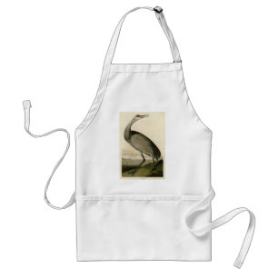 Tablier Grue de Sandhill d'Audubon's Birds of America