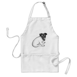 Tablier Jack Russell Welpe 10 Wochen alt