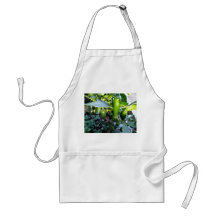 Jalapeno