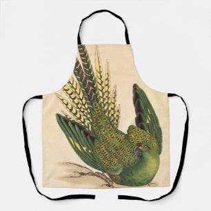 Tablier James Sowerby Parrot terrestre, Psittacus terrestr