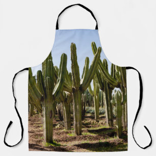 Tablier Jardin de cactus, paysage désertique tropical.