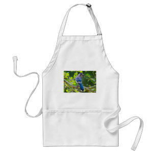 Tablier Nature Photographie Shy Blue Jay Vêtements Cadeaux