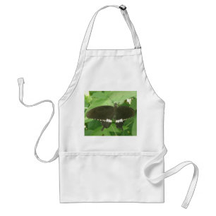 Tablier Papillon mormon commun