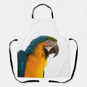 Tablier Parrot macaw