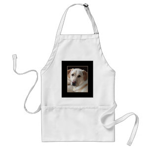 Tablier Photo jaune de chien de labrador retriever sur le