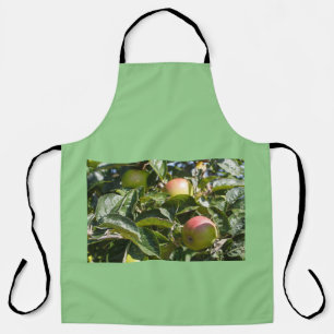 Tablier Pommes mûrissant