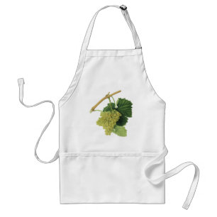 Tablier Raisins de vin blanc sur la vigne, fruits alimenta
