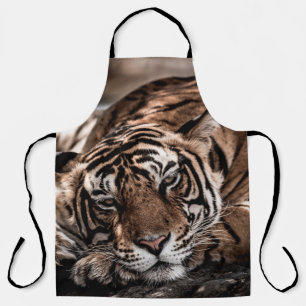 Tablier ranthambore tigre mâle sauvage Image d'art