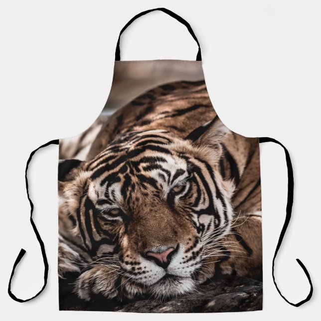 Tablier ranthambore tigre mâle sauvage Image d'art (Recto)