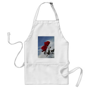 Tablier Roses rouges contre un ciel bleu vif