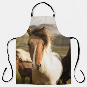 TABLIER TROIS CHEVAUX COULEUR COULEUR COULEUR COULEUR COUL