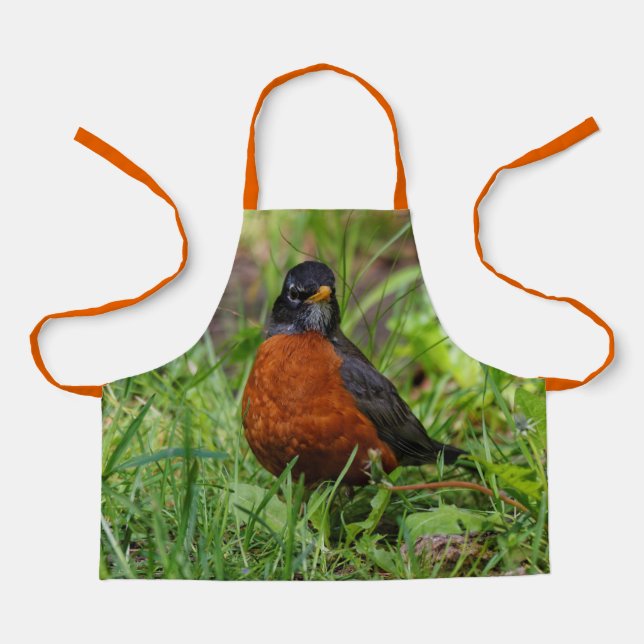 Tablier Un étrange Robin Américain dans l'herbe (Recto)