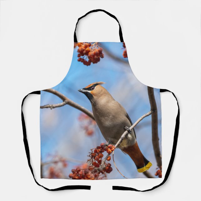Tablier Verrerie bohème, Oiseau majestueux (Recto)