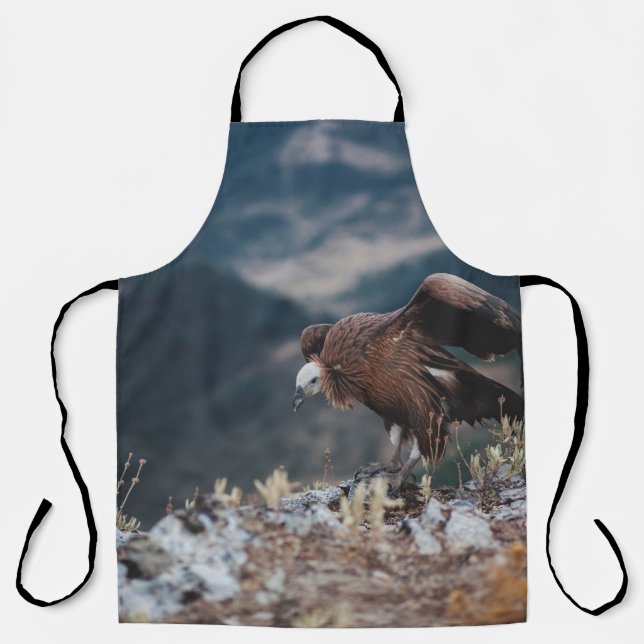 TABLIER VULTURE (Recto)